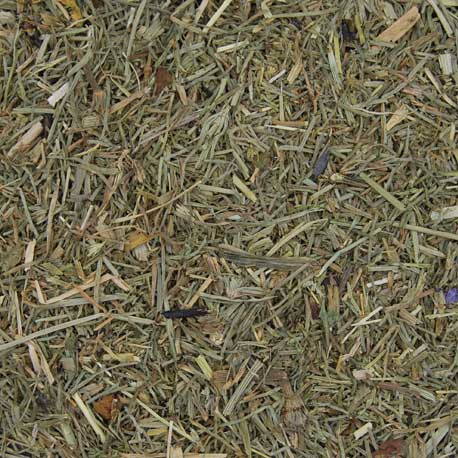 cola de caballo Cola de caballo - Imagen 1