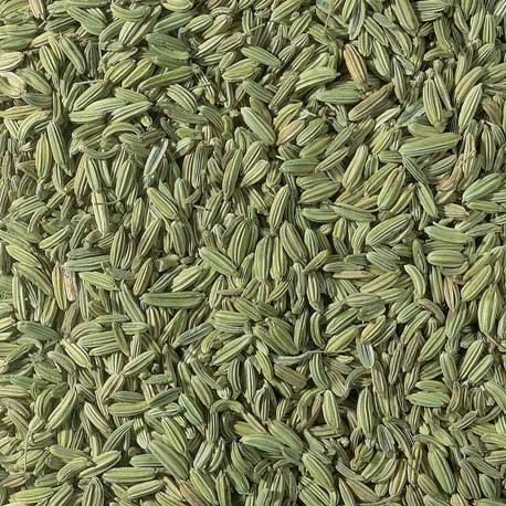 hinojo Hinojo - Imagen 1