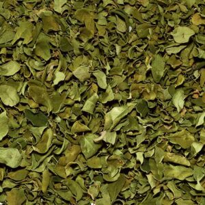 Moringa hoja cortada