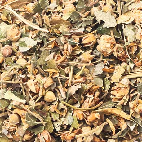 tila Tila, flor cortada - Imagen 1